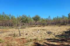 1_1-LANTON-Lagune-03-09-2022