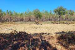 2-LANTON-Lagune-03-09-2022