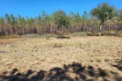 4-LANTON-Lagune-03-09-2022